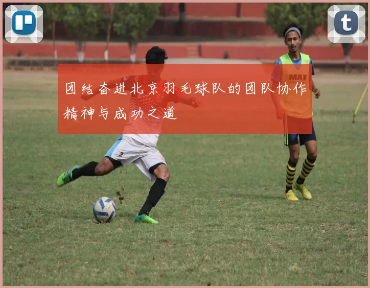 团结奋进北京羽毛球队的团队协作精神与成功之道